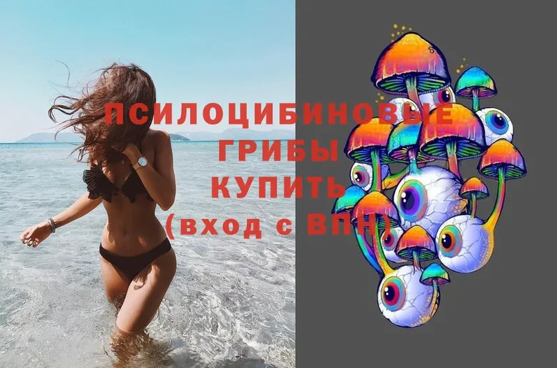 мега как зайти  Бодайбо  Галлюциногенные грибы MAGIC MUSHROOMS  как найти закладки 